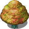 Colorful Tree (1).png