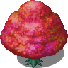 Colorful Tree (3).png