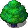 Colorful Tree (4).png