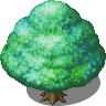 Colorful Tree (7).png