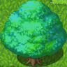 Rainbow_Tree_Preview.gif