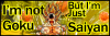 NotGoku.png