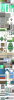 ST-Schl-E01_PixelScaled.png