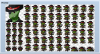 DragonPirate.png