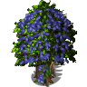 Icon.png