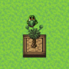 Icon.png