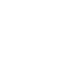 Sephiron