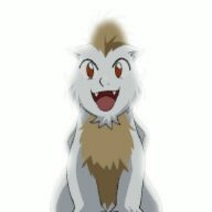 CougarProwl
