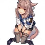 Yume TotoBunny
