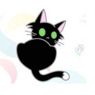 Kora Cat