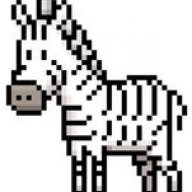 Zebra73