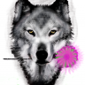 SkullWolf