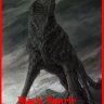 blackfenrir