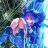 swkabc