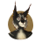 Roxas Wolf