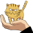 LuckyTiger