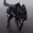 Silver Wolf