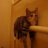 JimmyKater