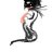 Ravenere