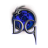 Daenera