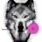 SkullWolf