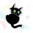 Kora Cat