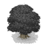Gloom-Woods Oak Tree