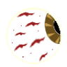 The Eye