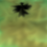 Title Screen: Descent of the Dark Angel