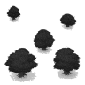 Retro B&W Wide Trunked Trees