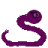 Squirmy the Worm Battler