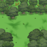 Four T's and an Intersection Forest Path Maps