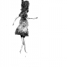 Benign Passage (music)
